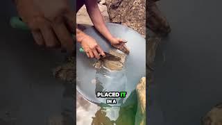 He Found GOLD at the Riverbank… With Just a Pan! ️