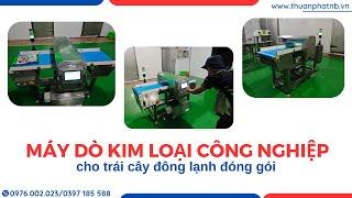 MÁY DÒ KIM LOẠI TRÁI CÂY ĐÔNG LẠNH/ MÁY DÒ KIM LOẠI CÔNG NGHIỆP