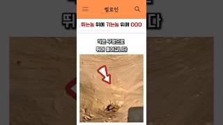 뛰는놈 위에 기는놈 위에 한국인