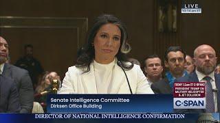 Tulsi Gabbard Senate Confirmation Hearing to be Director of National Intelligence