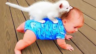 What Happends When Cute Cats Takes Care of Baby || Cool Peachy