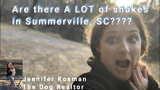 My experience with SNAKES living in Summerville, SC
