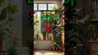 집안에 '대운'이 깃드는 띠