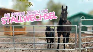 Wir müssen den Stall wechseln… 