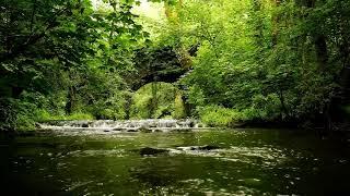 RELAXING RIVER SOUNDS WITH NIGHTINGALE BIRDSONG, NATURE SOUNDS