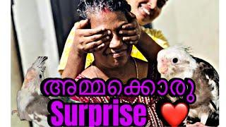 അമ്മക്ക് ഒരു കിടിലൻ surprise️