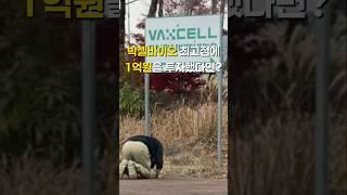 박셀바이오 최고점에 1억원을 투자했다면?