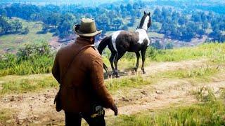 ENCUENTRAN UN CABALLO EXTRATERRESTRE | RED DEAD REDMPTION 2