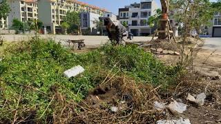 What makes an OVERGROWN SIDEWALK exist in this PROSPEROUS place but no one cleans it up?