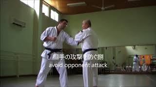 Johaku Dori - Shorinji Kempo (上膊捕りの捌方)