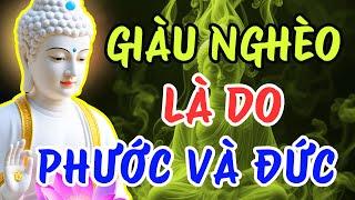 Giàu Nghèo Do Phước Đức (bài giảng quá hay) - Minh Triết Phật Pháp