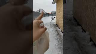 Соседство#вкайф ! ЛЕТАЮЩИЙ ЛУК #деревня #буднивдеревне #соседи #челябинск174 #мойдом #житуха