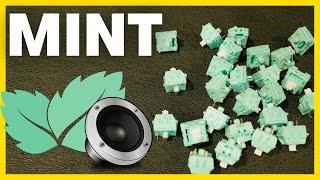 KTT MINT Switches Sound Test & Review (STOCK vs lubed)