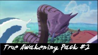 NUNS4 - Ultimate True Awakening Pack #2 ////// Mod!~