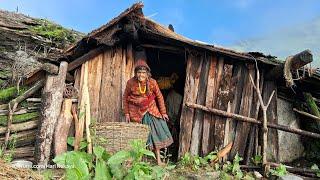 Most Beautiful And Relaxing Mountain Village Life of Nepal || Hari Rokaya Best Compilation Video ||