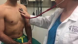 Heart Auscultation: Where to Place the Stethoscope