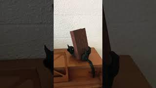 Cats are cool and so is reading! #booktok #reading #cats  #bambulab #craftykid3d #3dprinting