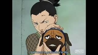 Shikamaru And Pakkun