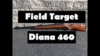 Diana 460 Magnum Präzisions Luftgewehr Review und Schusstest