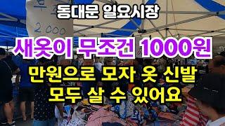 단돈 1,000원부터 동대문일요시장 보물찾기-가성비 좋은 대형 쇼핑몰 상품 저렴하게 득템-브랜드 재고떨이 시장-만원의행복