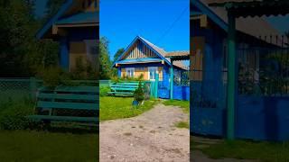 Этот Голос Можно Слушать Вечно!!#деревня #песня #гармонь