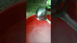 Lemon  Tang Jam-e-Sherin