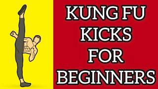 real timing kung fu class / kung fu kicks workout for beginners / 初级腿法