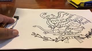 Dibujo el águila nacional de México tercera parte