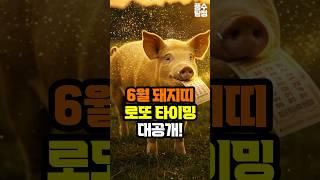 6월 돼지띠 로또 운세｜단 3일만 기억하면 ‘돈의 문’이 열립니다!