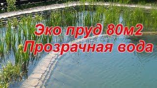 Эко пруд 80м2 Прозрачная вода