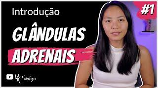 [#1] GLÂNDULAS ADRENAIS: INTRODUÇÃO | MK Fisiologia