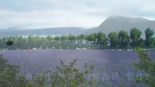 靜享天恩  (免費Pdf樂譜下載 )  北海道 富良野 夏日花田