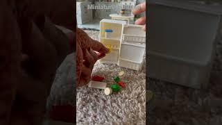 My blooper’s #trending #trendingshorts #trendingvideo #miniature #mybloopers #bloopers #cookingvideo