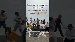 Заказ стелек #WHIEDA через ватсап +77775759900 или +79504075350