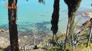 The Baths of Aphrodite  _ Akamas, Cyprus