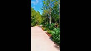 Disney's Wilderness Lodge Resort Cascade Cabins|Orlando Walking Tour