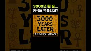 3000년 된 꿀, 아직도 먹을 수 있다고?!