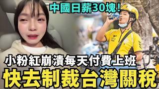 中國日薪30塊！小粉紅崩潰：每天付費上班，快去制裁台灣關稅，正藍退將集體支持台灣大罷免，痛罵舔共國民黨