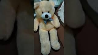 new teddy