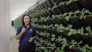 NTUC LearningHub - Digital Agri Tech Operations Manager Programme Learning Journey