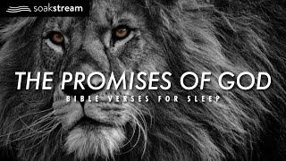 The Promises of God | Bible Verses For Sleep