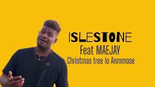 Islestone x Maejay| Christmas tree lo Anommose| 2024