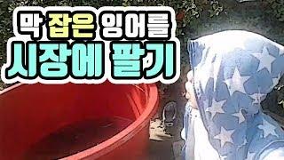 [작약꽃TV]전통시장에서 "막"잡은 잉어를 팔아보자!