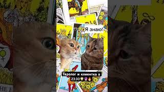 Будни таролога #таро #тароонлайн #таролог #тарорасклад #картытаро