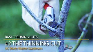 Basic Pruning Cuts 2: The Thinning Cut