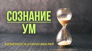 Сознание и Ум, что же это на самом деле? | Мурат Мусабаев