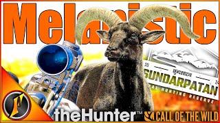 Heartbreak on a MELANISTIC Blue Sheep! | theHunter Call of the Wild