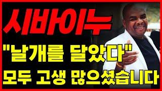 [시바이누 코인] 6개월 내 "100배" 상승! 드디어 '날개'를 달았다!