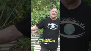 Start Your Food Garden Today  Easy In Ground Tips