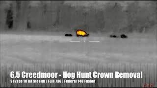 6.5 Creedmoor - Hog Hunt Crown Removal (Federal 140 Fusion)